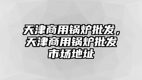 天津商用鍋爐批發(fā)，天津商用鍋爐批發(fā)市場(chǎng)地址