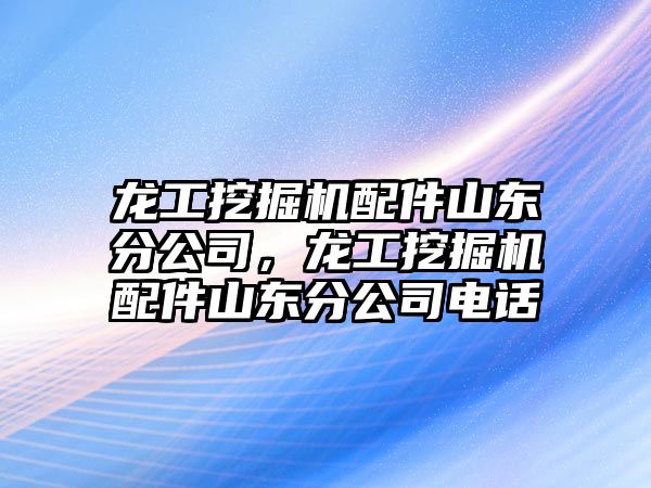 龍工挖掘機配件山東分公司，龍工挖掘機配件山東分公司電話