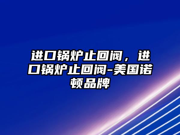 進口鍋爐止回閥，進口鍋爐止回閥-美國諾頓品牌