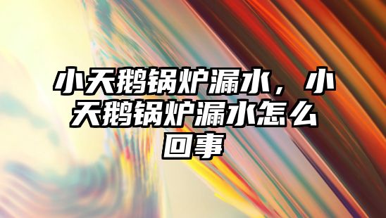 小天鵝鍋爐漏水，小天鵝鍋爐漏水怎么回事