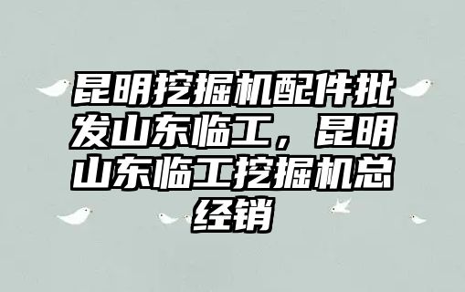 昆明挖掘機配件批發山東臨工，昆明山東臨工挖掘機總經銷