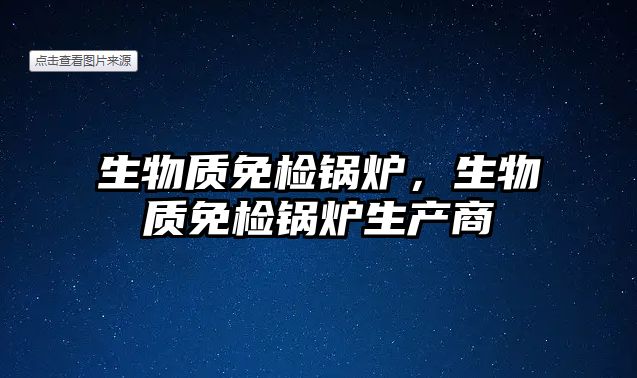 生物質免檢鍋爐，生物質免檢鍋爐生產商