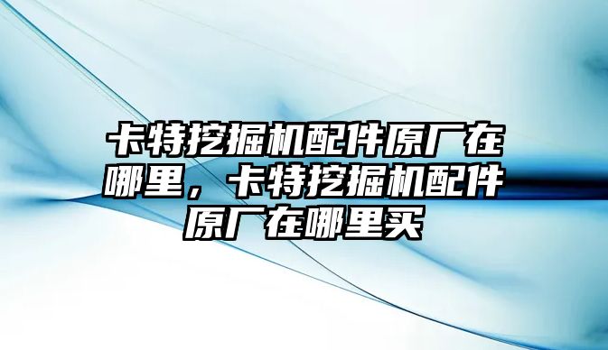 卡特挖掘機配件原廠在哪里，卡特挖掘機配件原廠在哪里買