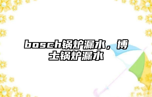 bosch鍋爐漏水，博士鍋爐漏水