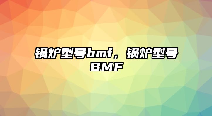 鍋爐型號bmf，鍋爐型號BMF