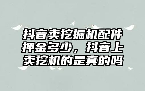 抖音賣挖掘機配件押金多少，抖音上賣挖機的是真的嗎