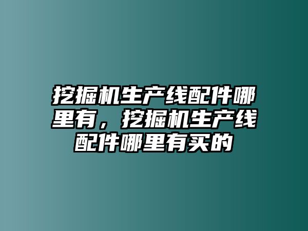 挖掘機生產線配件哪里有，挖掘機生產線配件哪里有買的