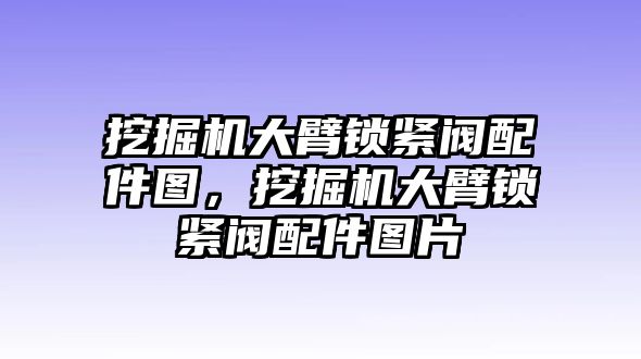 挖掘機大臂鎖緊閥配件圖，挖掘機大臂鎖緊閥配件圖片