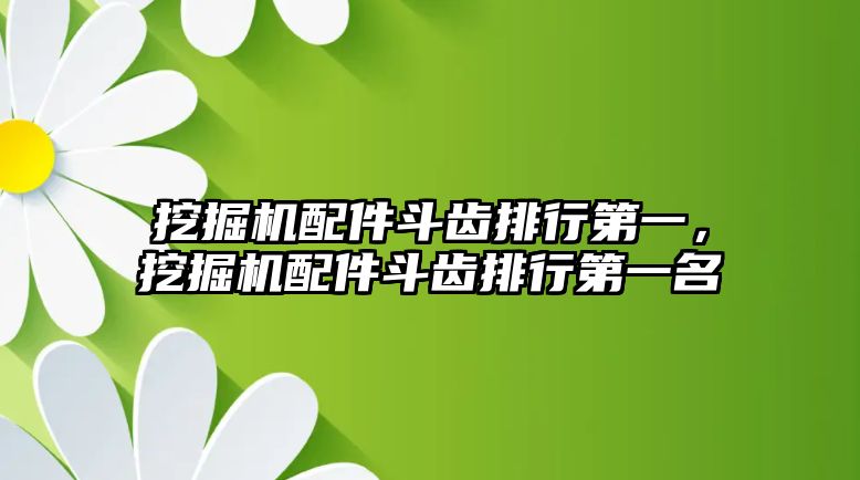 挖掘機配件斗齒排行第一，挖掘機配件斗齒排行第一名