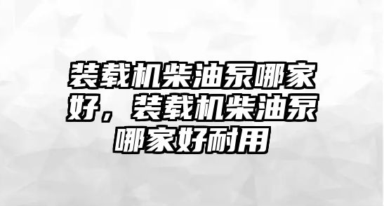 裝載機柴油泵哪家好，裝載機柴油泵哪家好耐用