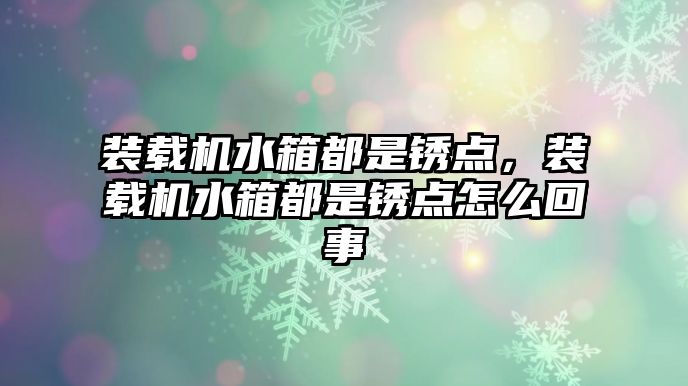 裝載機水箱都是銹點，裝載機水箱都是銹點怎么回事