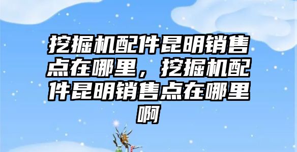 挖掘機配件昆明銷售點在哪里，挖掘機配件昆明銷售點在哪里啊