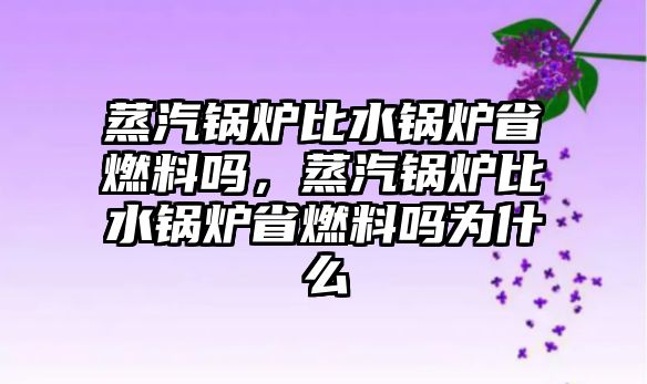 蒸汽鍋爐比水鍋爐省燃料嗎，蒸汽鍋爐比水鍋爐省燃料嗎為什么