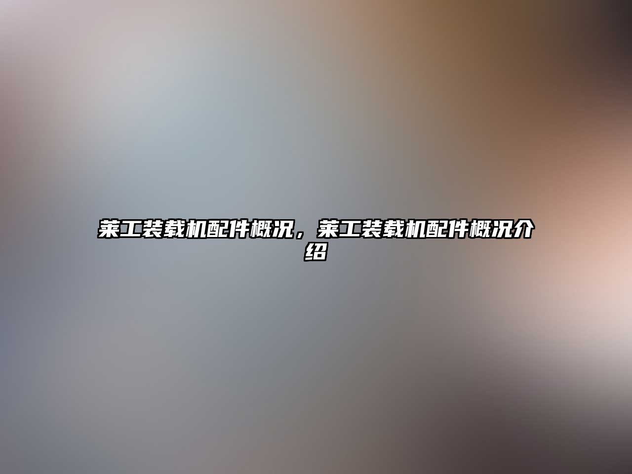 萊工裝載機配件概況，萊工裝載機配件概況介紹