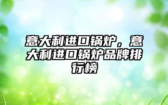 意大利進口鍋爐，意大利進口鍋爐品牌排行榜