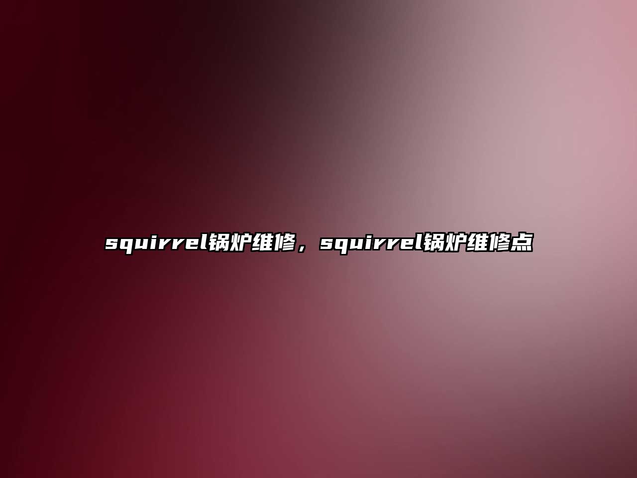 squirrel鍋爐維修，squirrel鍋爐維修點