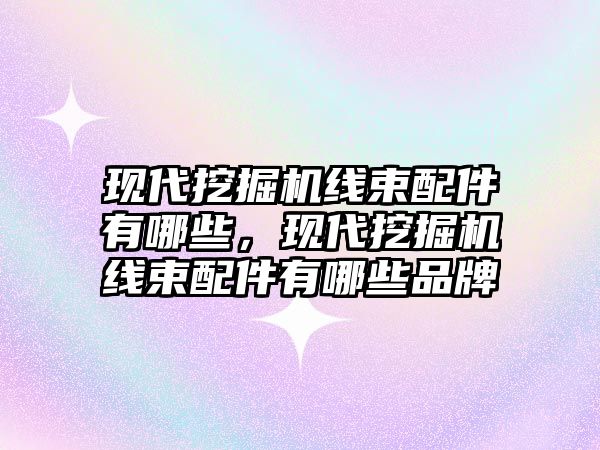 現代挖掘機線束配件有哪些，現代挖掘機線束配件有哪些品牌