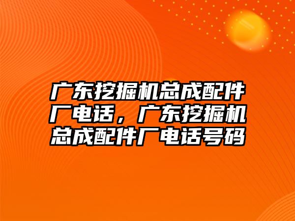 廣東挖掘機總成配件廠電話，廣東挖掘機總成配件廠電話號碼