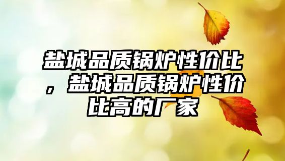 鹽城品質鍋爐性價比，鹽城品質鍋爐性價比高的廠家