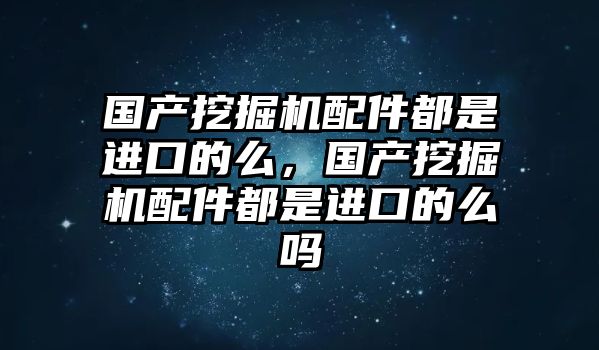 國產挖掘機配件都是進口的么，國產挖掘機配件都是進口的么嗎