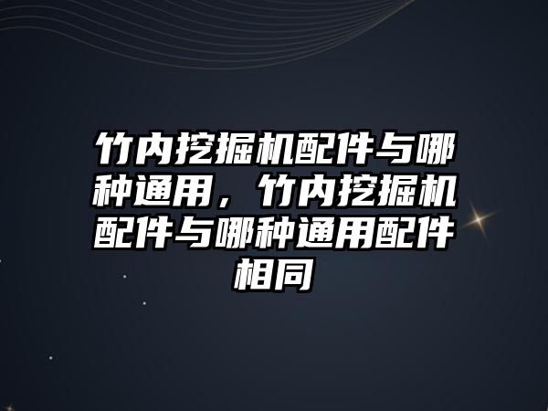 竹內挖掘機配件與哪種通用，竹內挖掘機配件與哪種通用配件相同