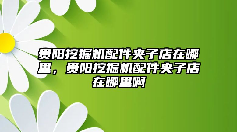 貴陽挖掘機配件夾子店在哪里，貴陽挖掘機配件夾子店在哪里啊