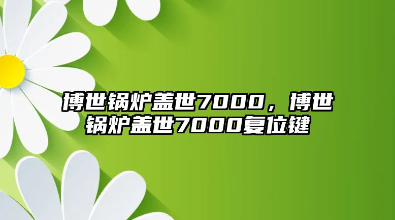 博世鍋爐蓋世7000，博世鍋爐蓋世7000復位鍵