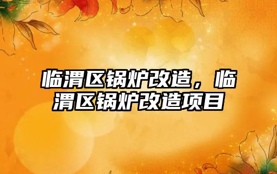 臨渭區鍋爐改造，臨渭區鍋爐改造項目