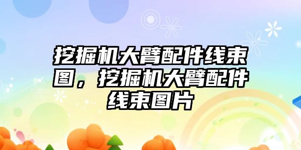 挖掘機大臂配件線束圖，挖掘機大臂配件線束圖片