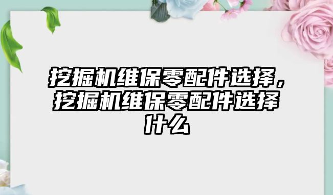 挖掘機(jī)維保零配件選擇，挖掘機(jī)維保零配件選擇什么