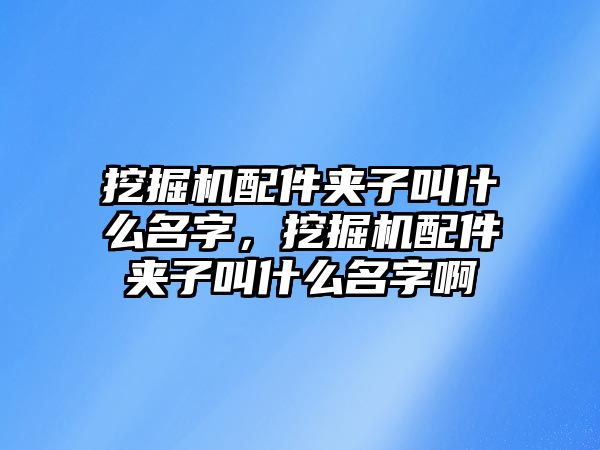 挖掘機配件夾子叫什么名字，挖掘機配件夾子叫什么名字啊