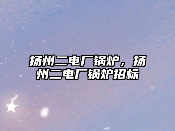 揚州二電廠鍋爐，揚州二電廠鍋爐招標