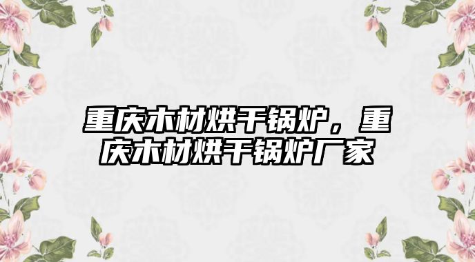 重慶木材烘干鍋爐，重慶木材烘干鍋爐廠家