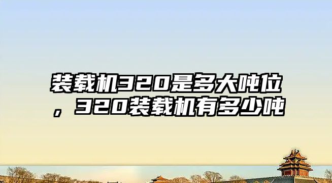 裝載機320是多大噸位，320裝載機有多少噸