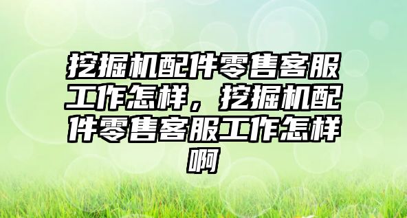 挖掘機配件零售客服工作怎樣，挖掘機配件零售客服工作怎樣啊