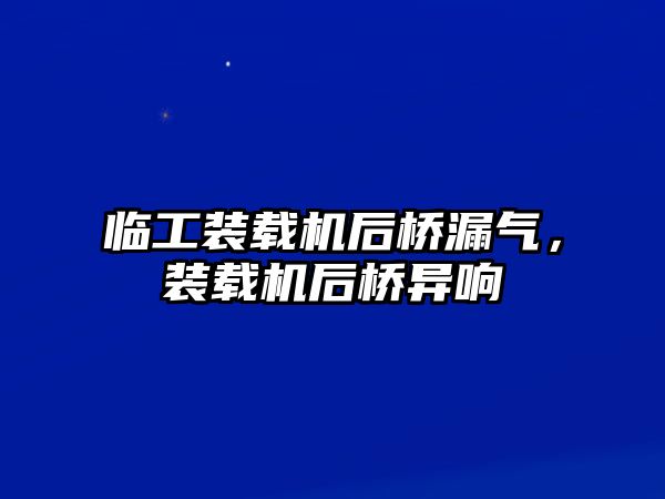 臨工裝載機后橋漏氣，裝載機后橋異響