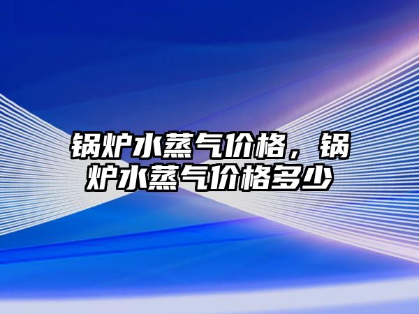 鍋爐水蒸氣價格，鍋爐水蒸氣價格多少