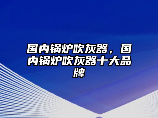 國內鍋爐吹灰器，國內鍋爐吹灰器十大品牌