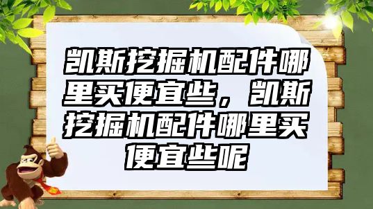 凱斯挖掘機(jī)配件哪里買便宜些，凱斯挖掘機(jī)配件哪里買便宜些呢