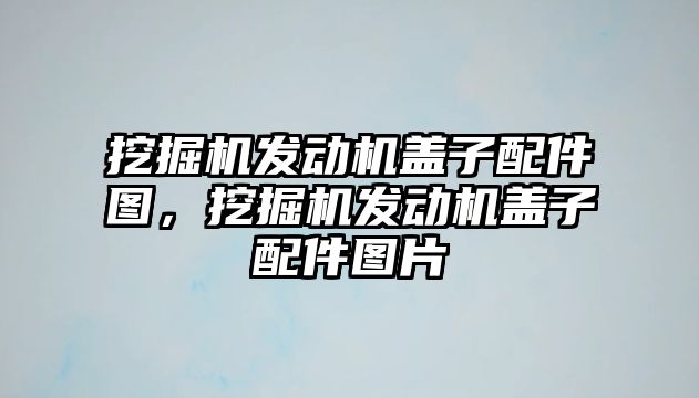 挖掘機(jī)發(fā)動機(jī)蓋子配件圖，挖掘機(jī)發(fā)動機(jī)蓋子配件圖片