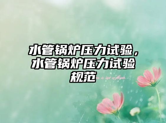 水管鍋爐壓力試驗(yàn)，水管鍋爐壓力試驗(yàn)規(guī)范