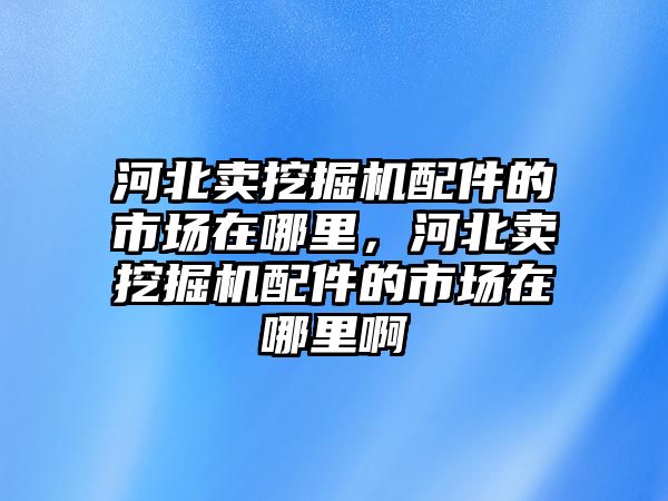 河北賣挖掘機配件的市場在哪里，河北賣挖掘機配件的市場在哪里啊