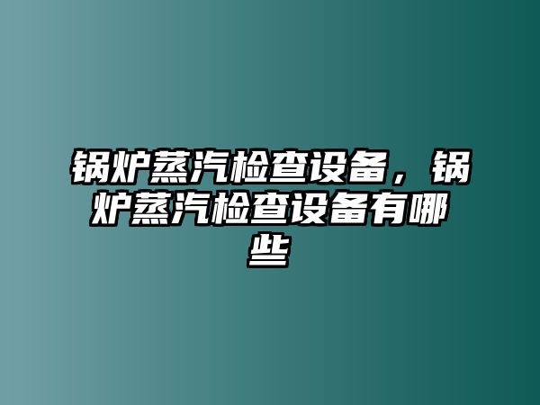 鍋爐蒸汽檢查設備，鍋爐蒸汽檢查設備有哪些