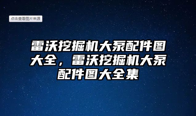 雷沃挖掘機大泵配件圖大全，雷沃挖掘機大泵配件圖大全集