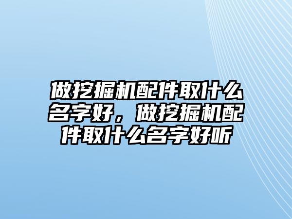 做挖掘機配件取什么名字好，做挖掘機配件取什么名字好聽