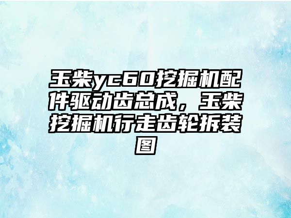 玉柴yc60挖掘機配件驅動齒總成，玉柴挖掘機行走齒輪拆裝圖