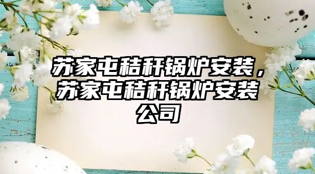 蘇家屯秸稈鍋爐安裝，蘇家屯秸稈鍋爐安裝公司