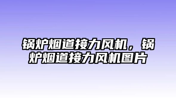 鍋爐煙道接力風(fēng)機，鍋爐煙道接力風(fēng)機圖片