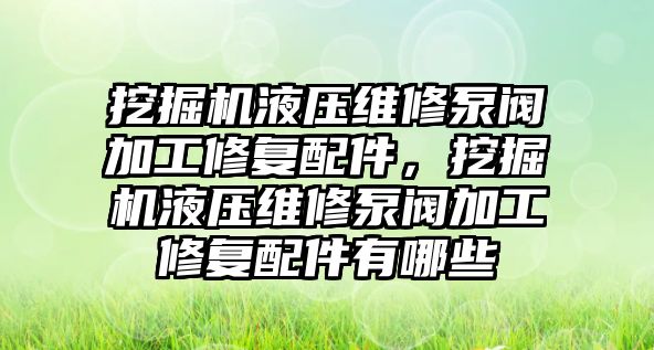 挖掘機液壓維修泵閥加工修復配件，挖掘機液壓維修泵閥加工修復配件有哪些