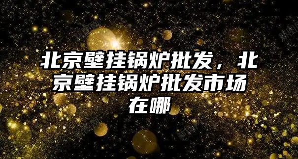 北京壁掛鍋爐批發，北京壁掛鍋爐批發市場在哪